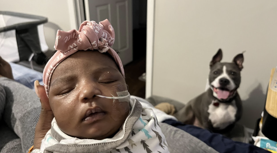 Baby Renee in pink headband with the family dog smiling in the background